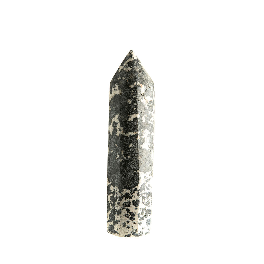 Dalmatian Jasper Point #4