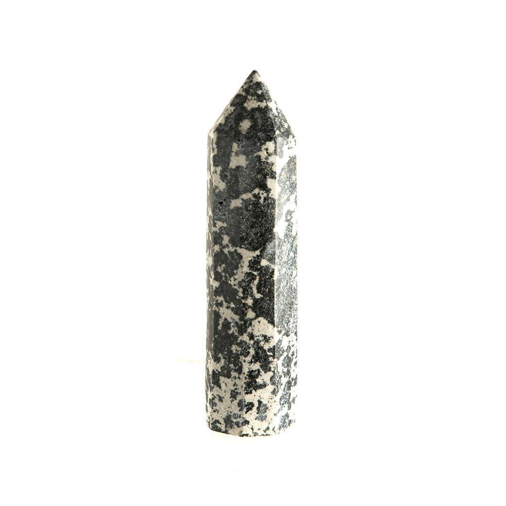 Dalmatian Jasper Point #4