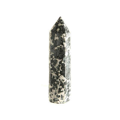 Dalmatian Jasper Point #4