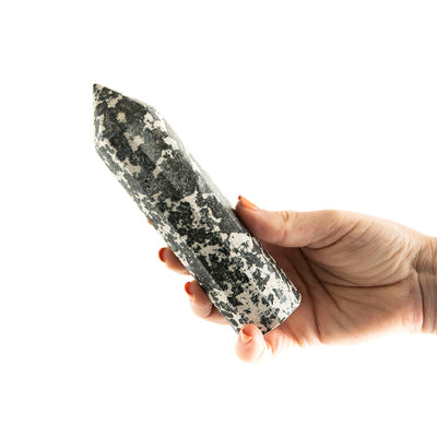 Dalmatian Jasper Point #4
