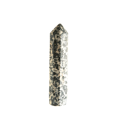 Dalmatian Jasper Point #6