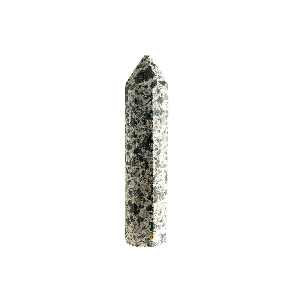 Dalmatian Jasper Point #7