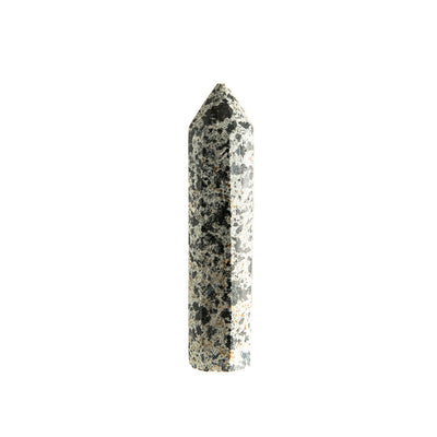 Dalmatian Jasper Point #7