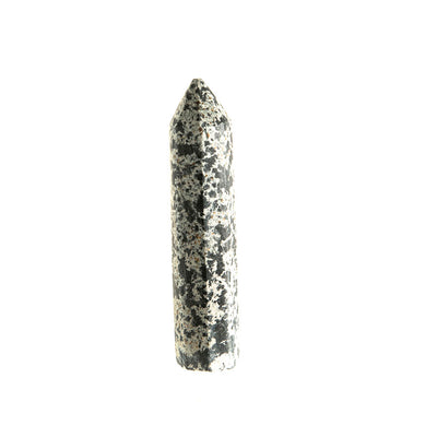 Dalmatian Jasper Point #7