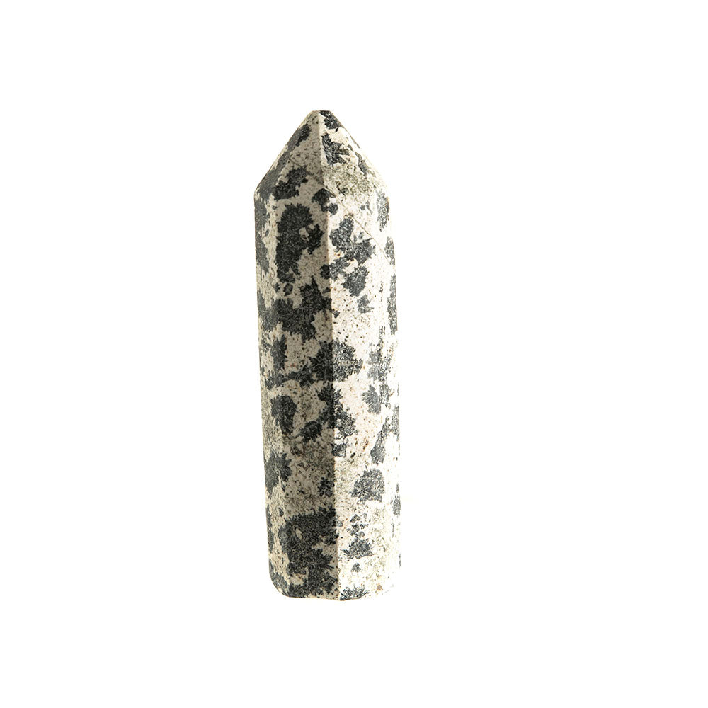 Dalmatian Jasper Point #8