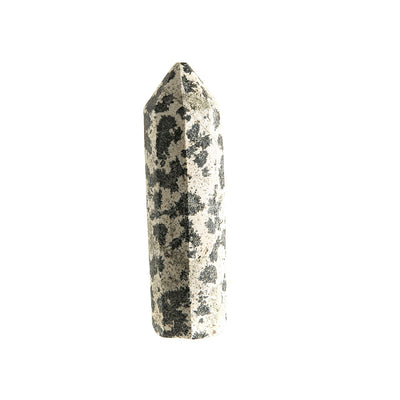 Dalmatian Jasper Point #8