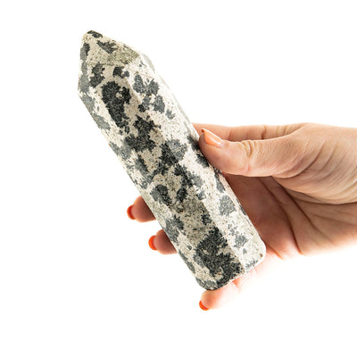 Dalmatian Jasper Point #8