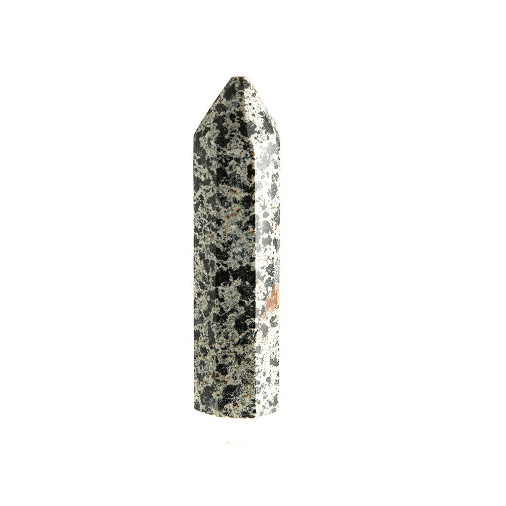 Dalmatian Jasper Point #11