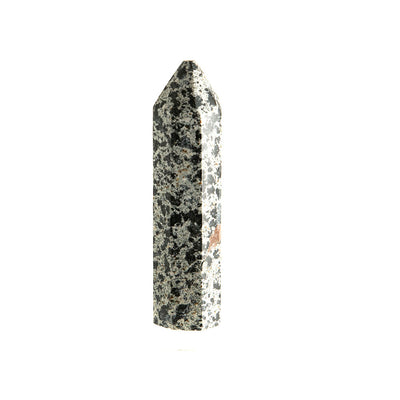Dalmatian Jasper Point #11