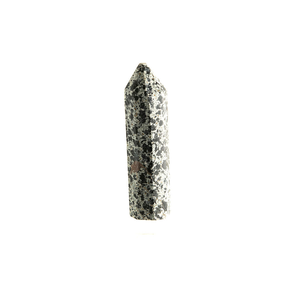 Dalmatian Jasper Point #11