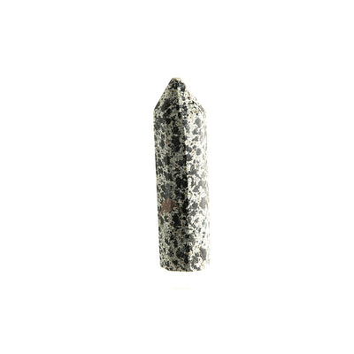 Dalmatian Jasper Point #11
