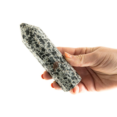 Dalmatian Jasper Point #11