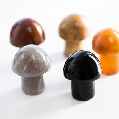 MUSHROOM Carnelian 5.25x4cm
