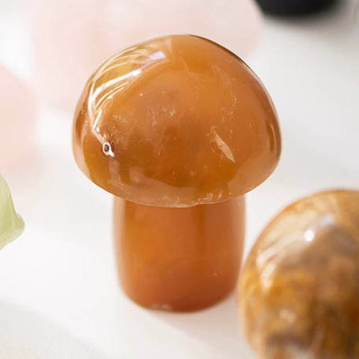 MUSHROOM Carnelian 5.25x4cm