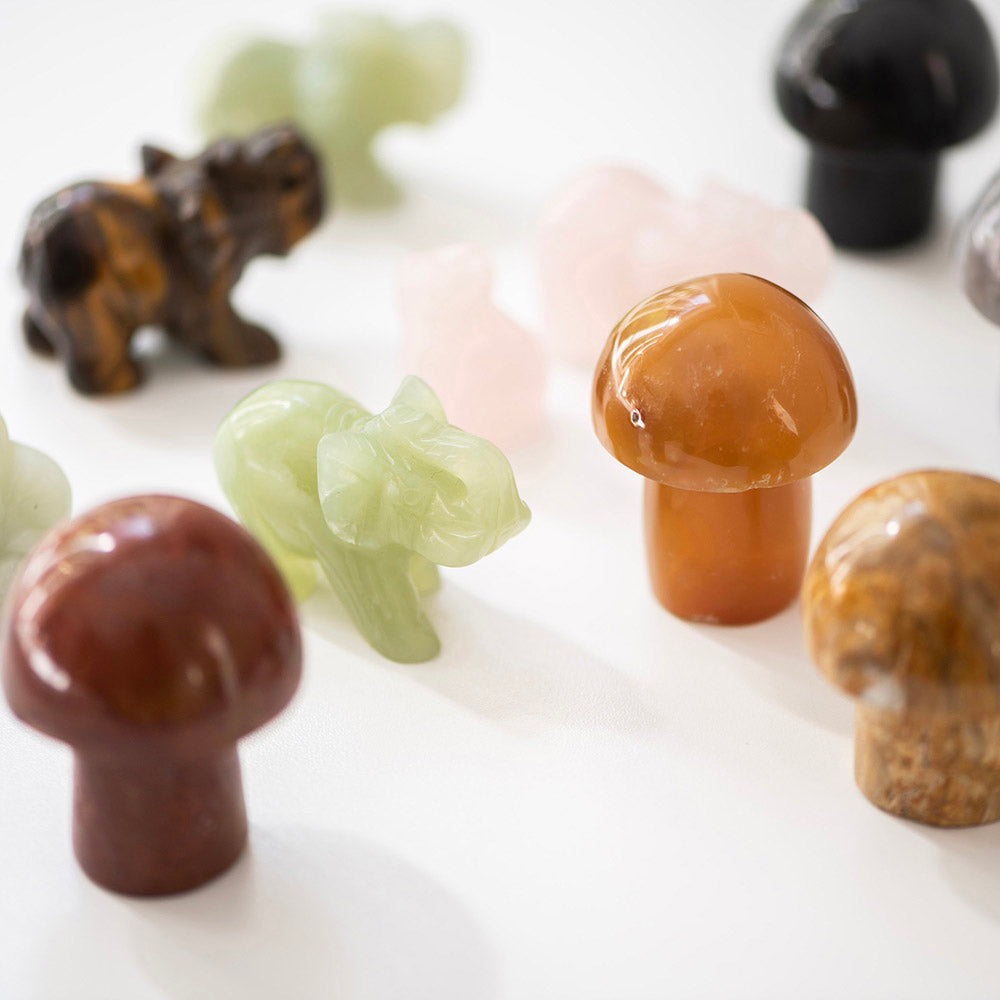 MUSHROOM Carnelian 5.25x4cm