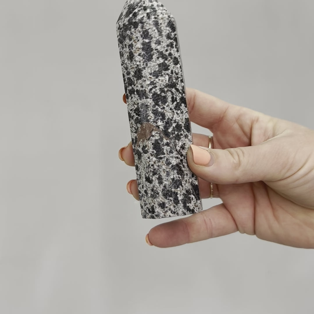 Dalmatian Jasper Point #11