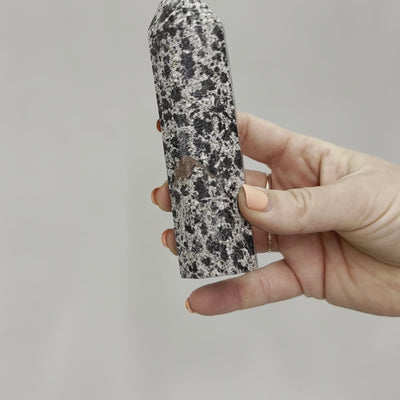 Dalmatian Jasper Point #11