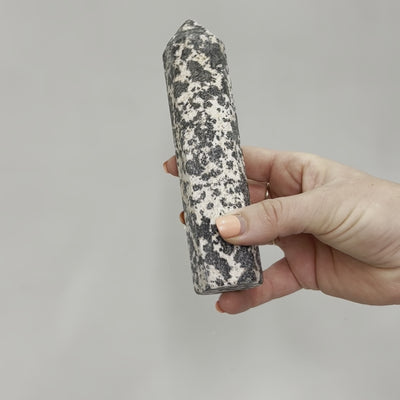 Dalmatian Jasper Point #6