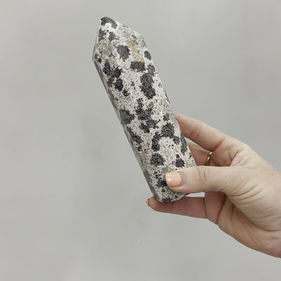 Dalmatian Jasper Point #8