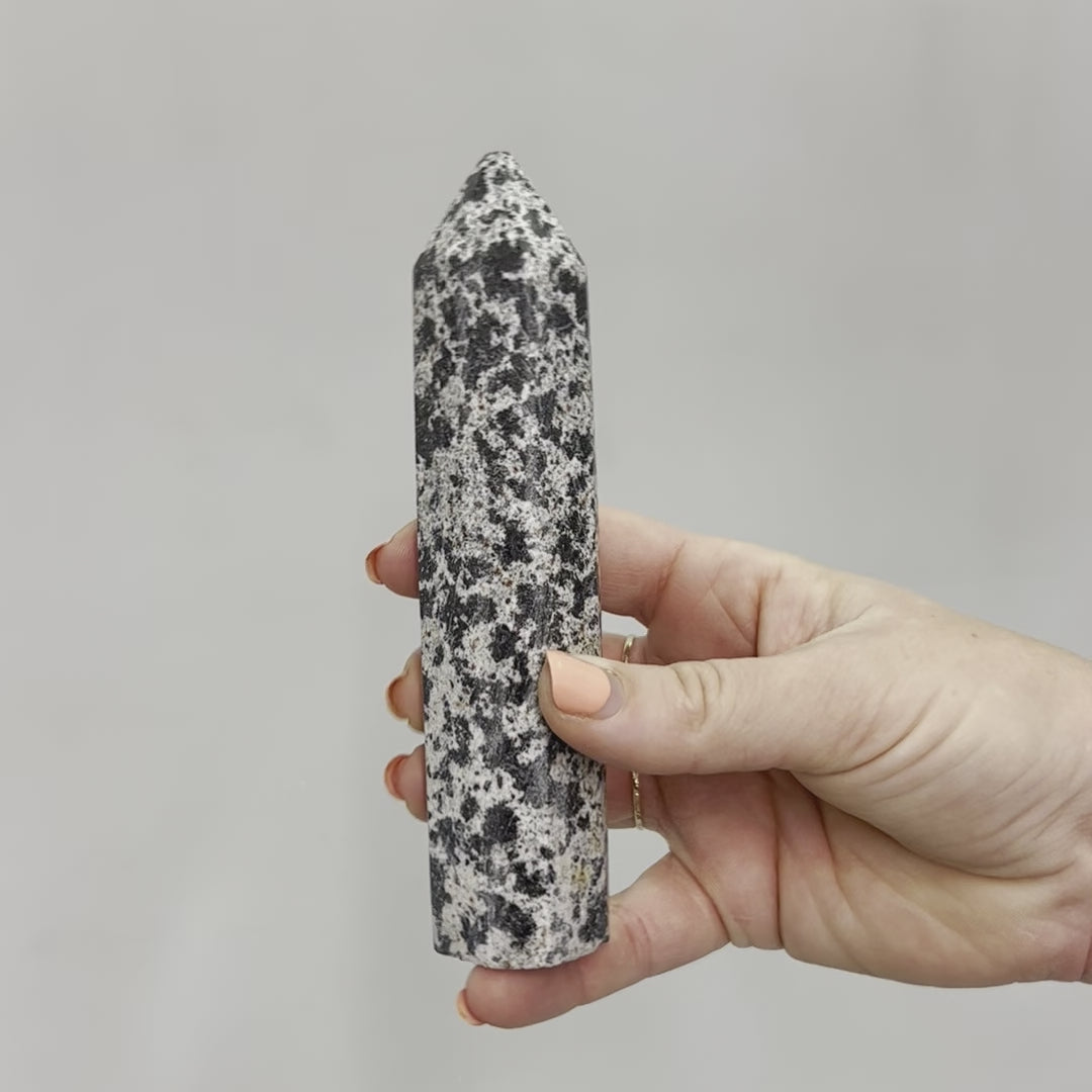 Dalmatian Jasper Point #7