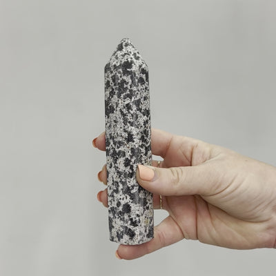 Dalmatian Jasper Point #7