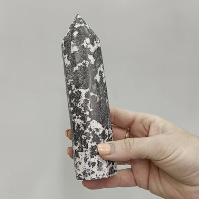 Dalmatian Jasper Point #4