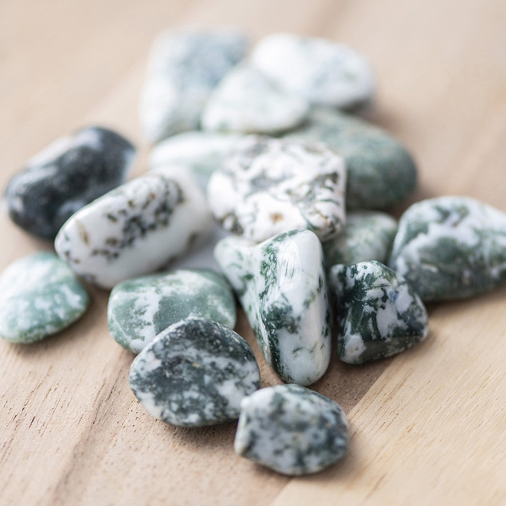 Tree Agate Tumble Stone - Karma Living