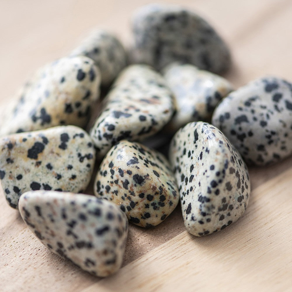 Dalmatian Jasper Tumble Stone - Karma Living