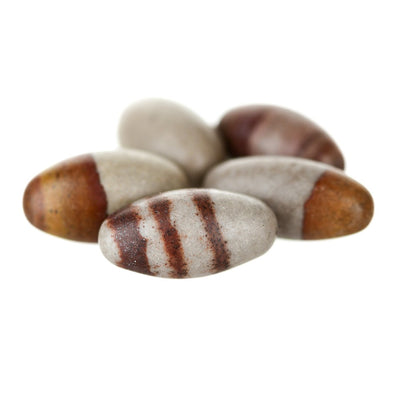 Shiva Lingham Tumble Stone - Karma Living