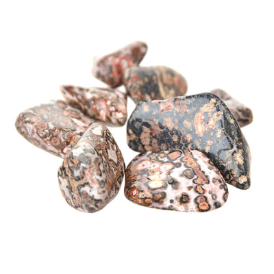 Leopard Skin Jasper Tumble Stone - Karma Living