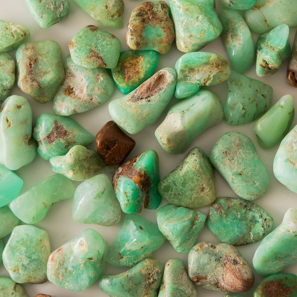 Chrysoprase Tumble Stone - Karma Living