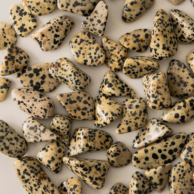 Dalmatian Jasper Tumble Stone - Karma Living