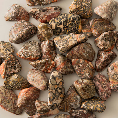 Leopard Skin Jasper Tumble Stone - Karma Living