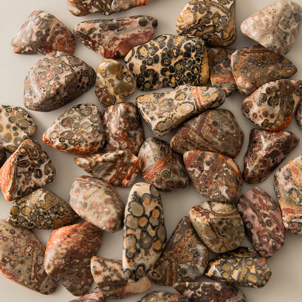 Leopard Skin Jasper Tumble Stone – Karma Living